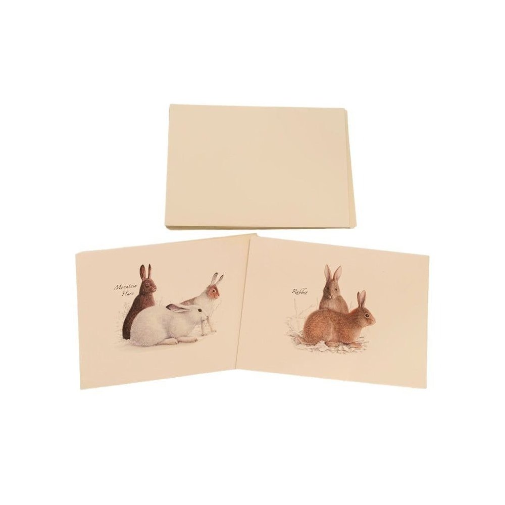 Earth Sky + Water Rabbit & Hare Assortment Notecard Set 8 Blank Cards with Envel